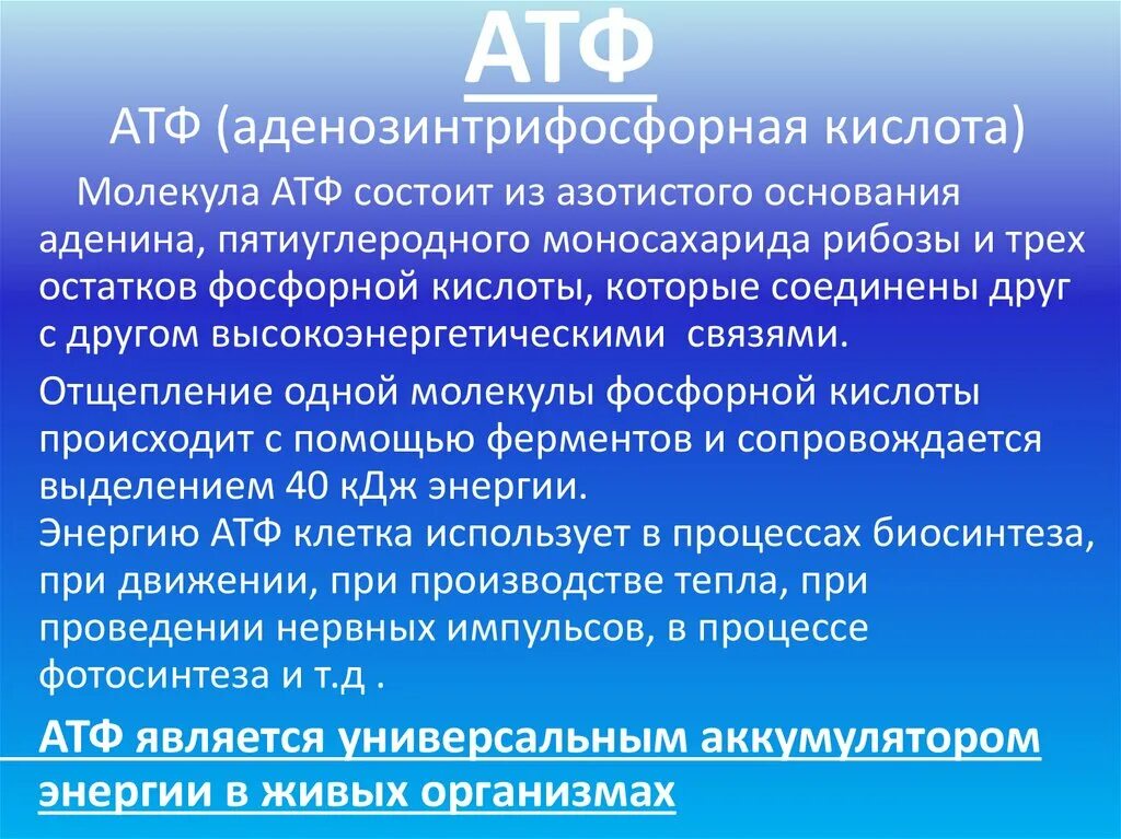 Атф уколы внутримышечно отзывы врачей. АТФ уколы. АТФ уколы аденозинтрифосфат. АТФ для внутримышечного введения. АТФ уколы ампулы.