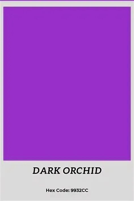 Purple hex. Purple hex