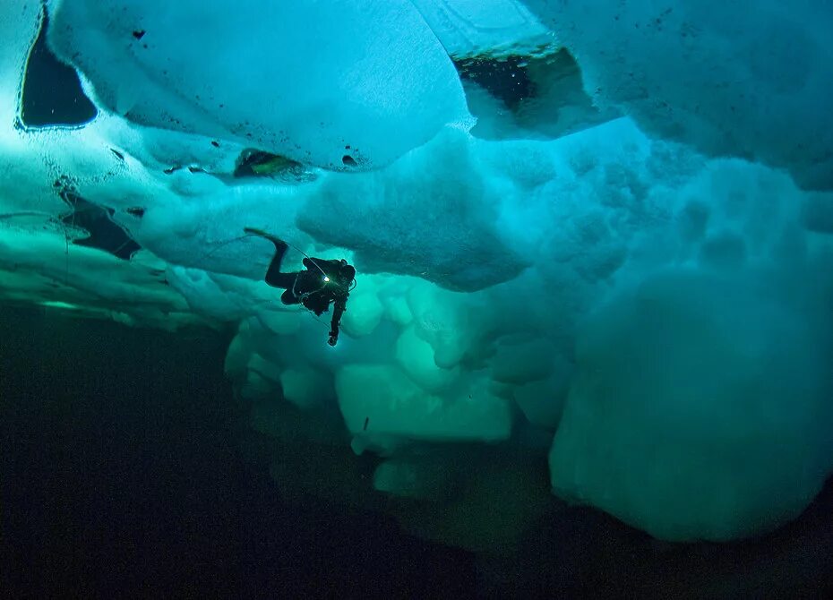 Лед на дне озера. Дно Северного Ледовитого океана. Северный Ледовитый океан паковый лед. Антарктида подо льдом. Что на дне Северного Ледовитого океана.