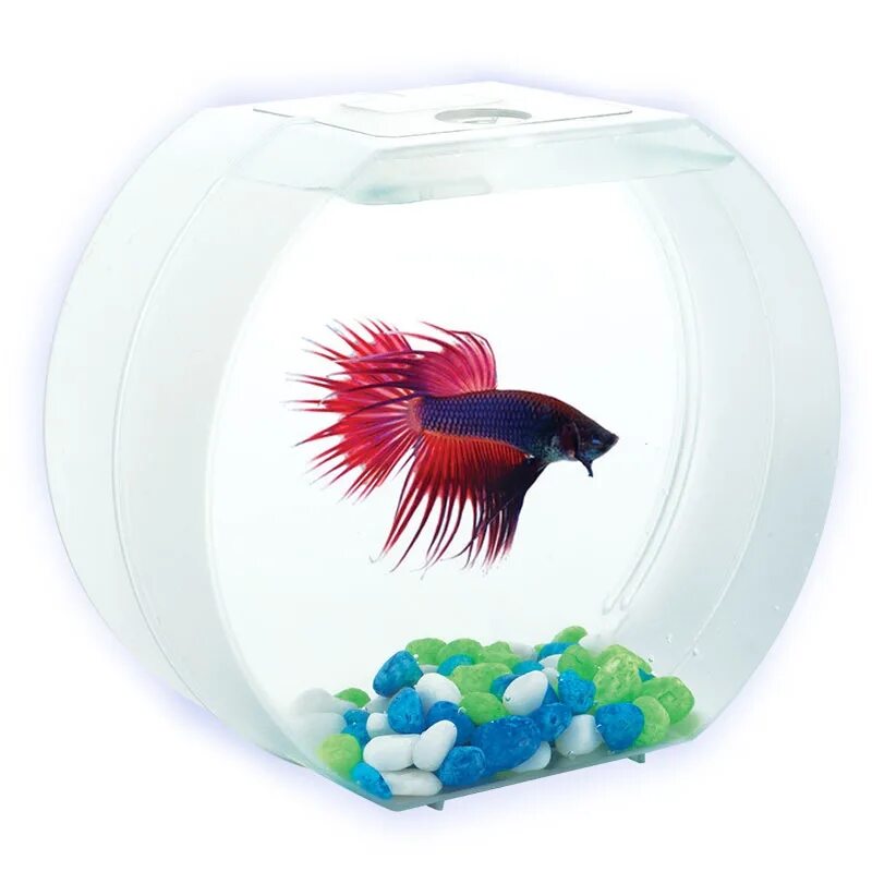 Betta o аквариум. Аквариум deco o Mini. Триол аквариумы. Аквариум для петушка Бетта.