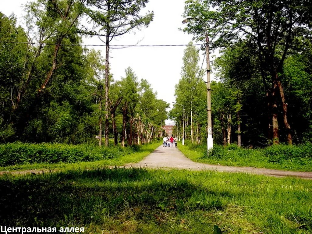 Высоковская городская