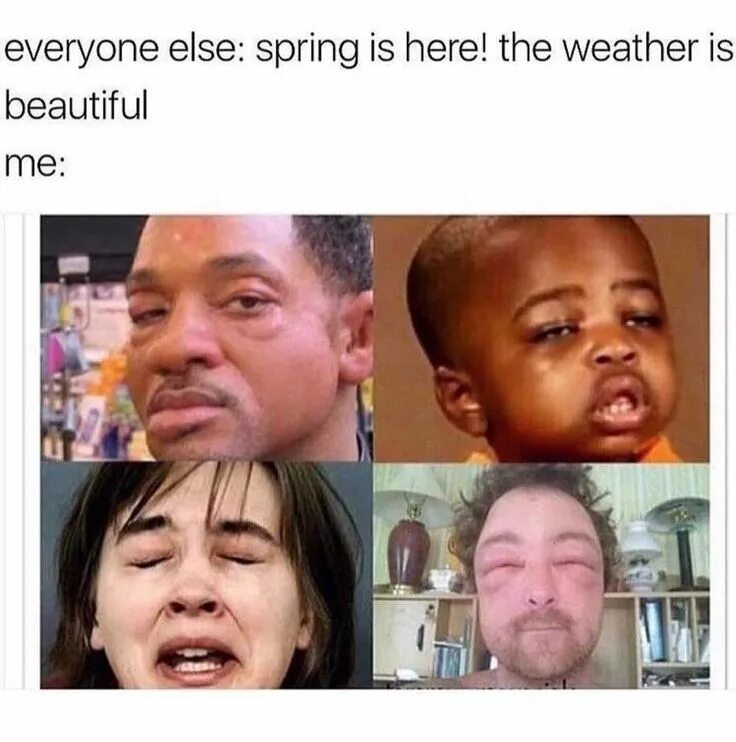 Tout le monde est. Мемы про аллергиков. Аллергия Мем. Аллергия смешные картинки. Мем про аллергиков весной.