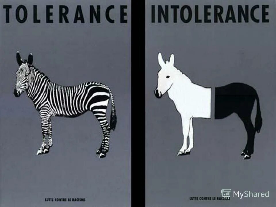 Tolerance is. Motto перевод. Accept differences. Being tolerant. Интолерантность рисунок.