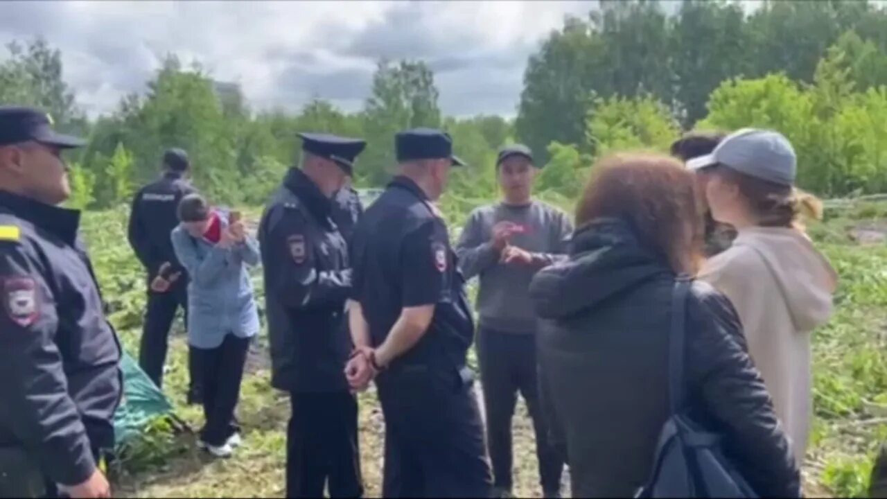 Поисковый дозор. Палаточный лагерь для детей. Разбитый лагерь. Полиция в лесу. Лагерь в лесу зомби апокалипсис.