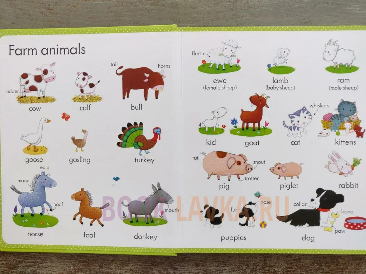Животные с фермы на английском worksheet. Ферма по английски. A farm перевод. Английская песня текст. Животные на ферме для детей.