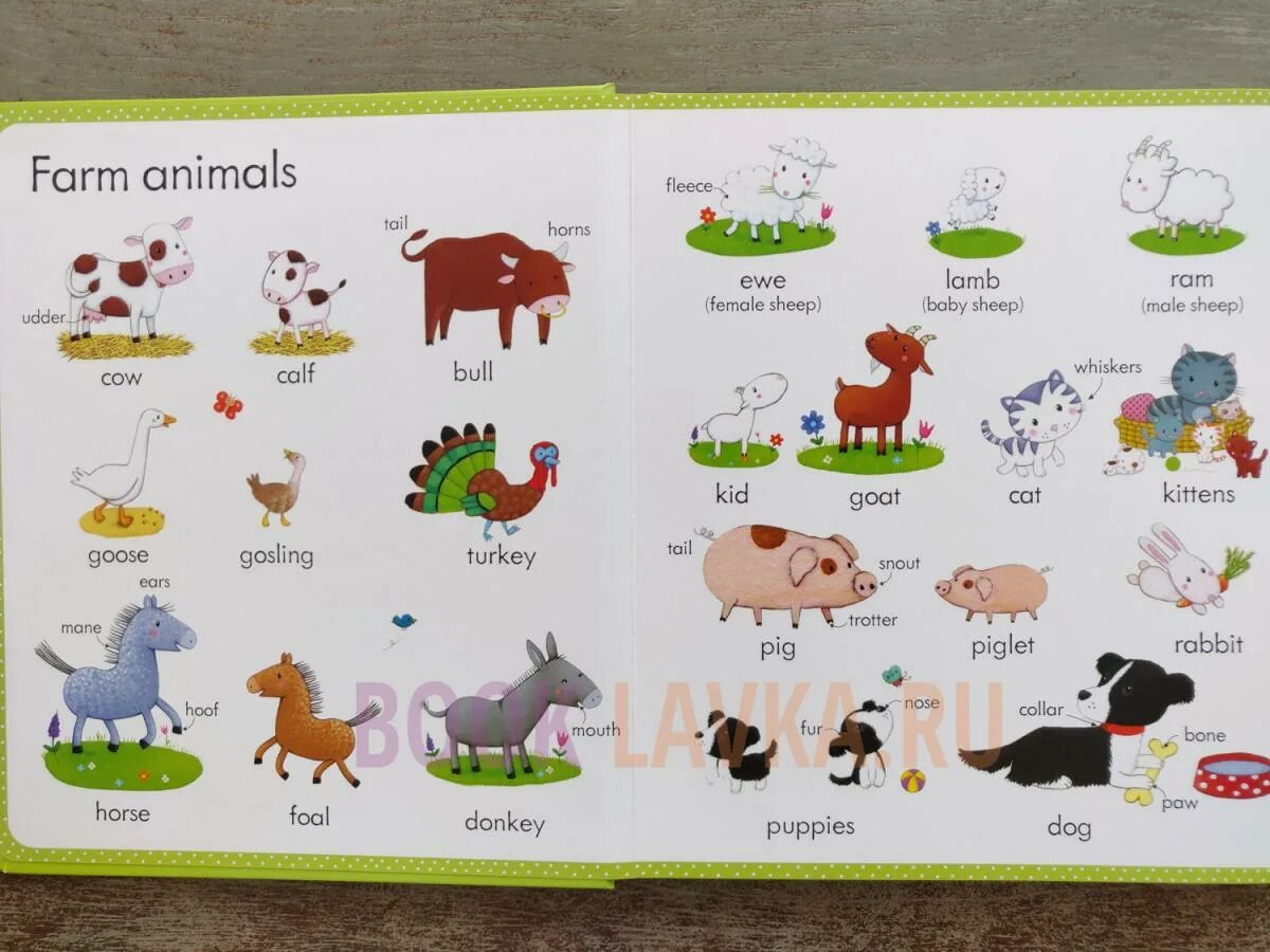 Домашние животные на англ. Английский для детей Farm animals. Животные фермы на английском для детей. Домашние животные на английском для детей. Животные на английском языке для детей.