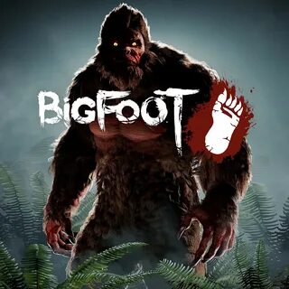 Bigfoot freetp