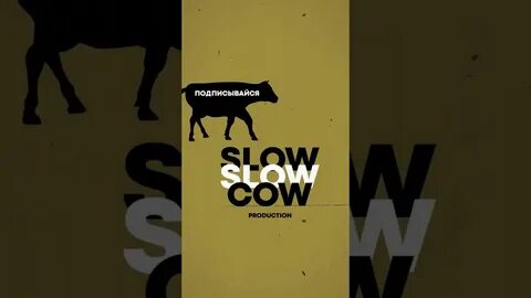 Slow cow