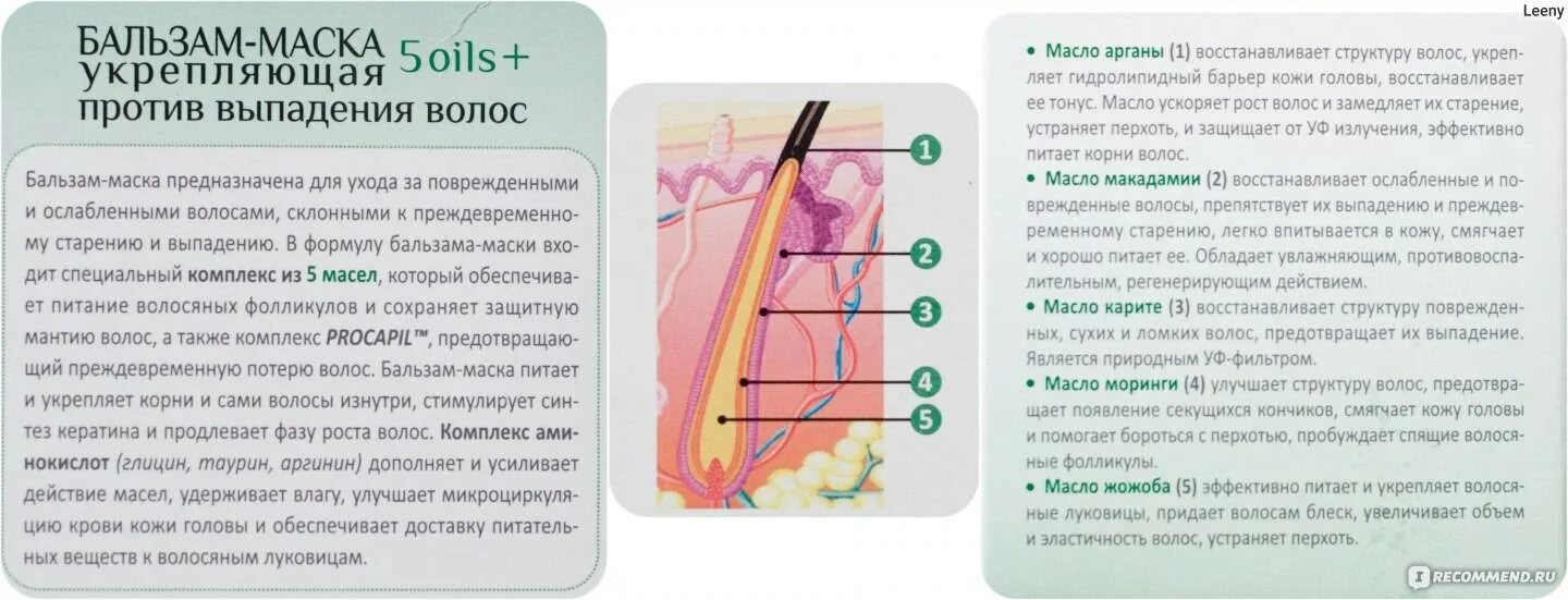Укрепить луковицы волос от выпадения. Средство для укрепления волосяных луковиц. Укрепляет волосяные фолликулы. Средство для укрепления фолликул волос. Самый эффективный рецепт от выпадения волос
