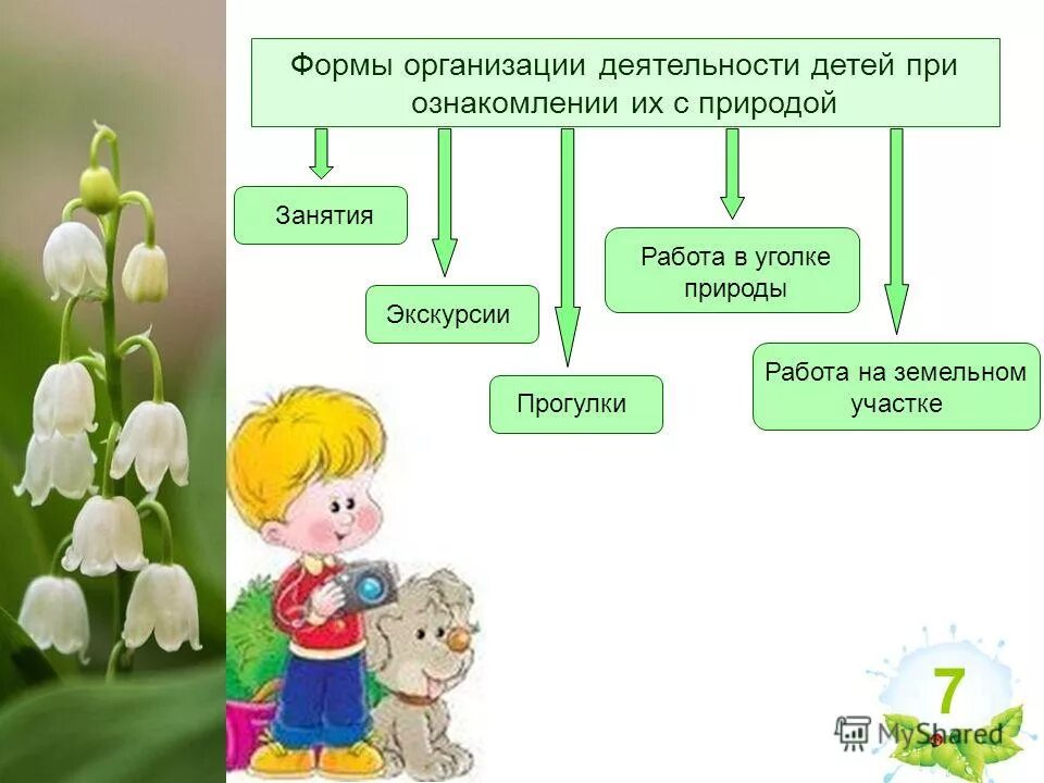Ознакомление с миром природы детей дошкольного возраста. Методы экологического образования дошкольников. Экологическое воспитание. Дети наблюдают за природой в детском саду. Ознакомление с миром природы детей дошкольного возраста.