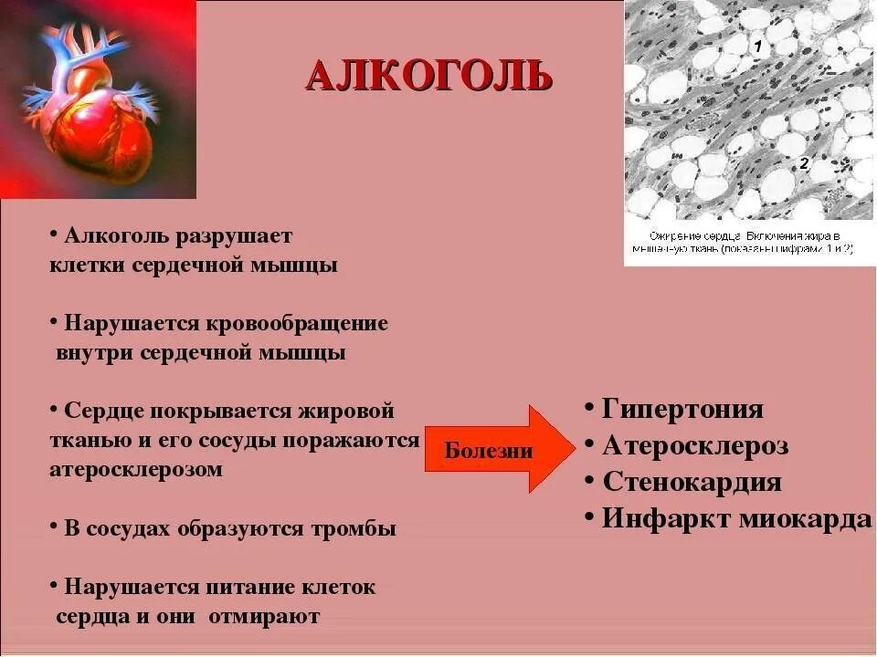 Какие есть сосудистые заболевания. Гигиена и профилактика заболеваний сердечно-сосудистой системы. Заболеваний сердца и сердечно-сосудистой системы.