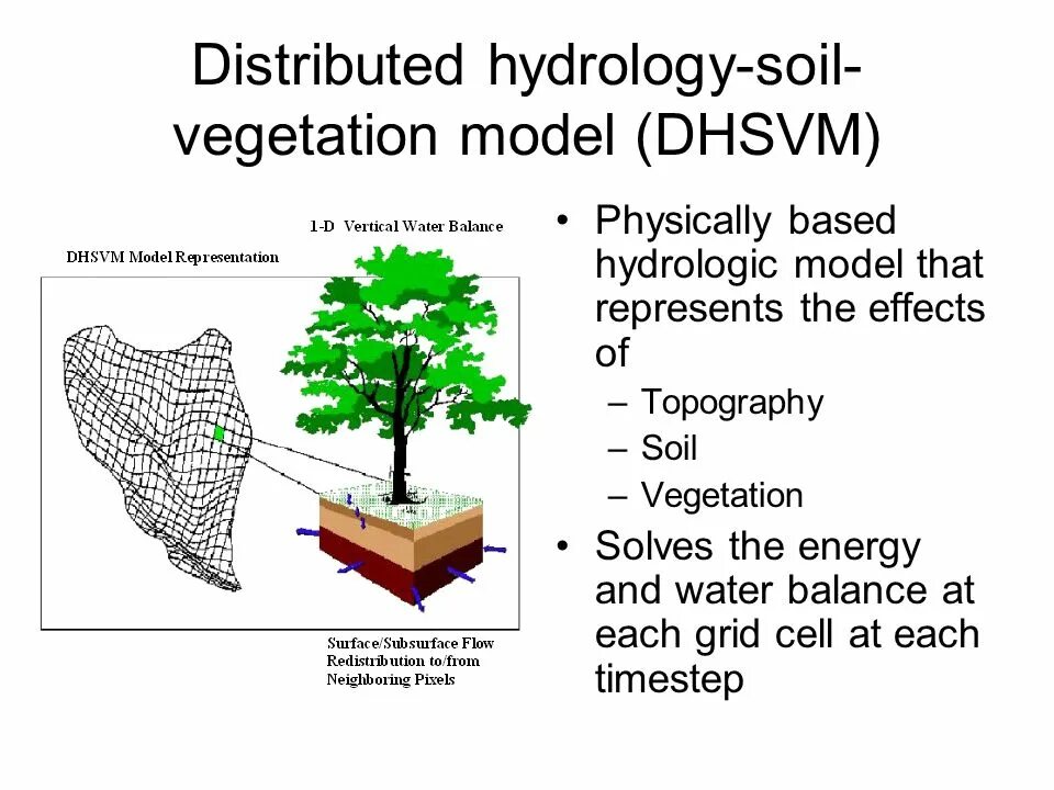 Vegetation and soils
