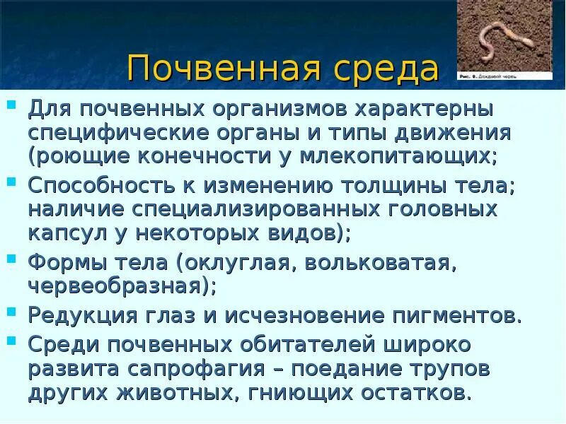 Почвенная среда обитания характеристика. Характеристика почвенной среды. Признаки почвенной среды. Характерные признаки почвенной среды.