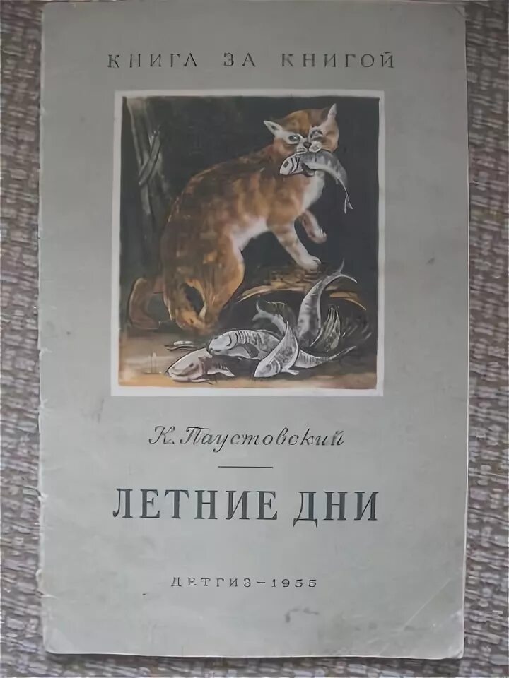 Паустовский летние дни книга. Паустовский летние дни иллюстрации. Паучстовский «летние дни» (1937).. Летние паустовский