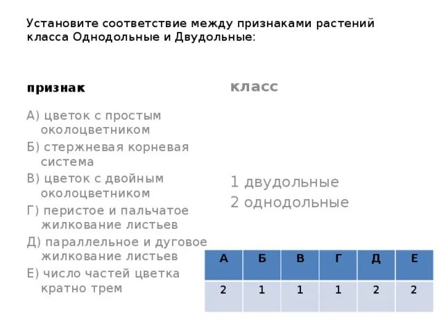 Установите соответствие между признаком и классом. Установите соответствие между признаками и классами. установите соответствие между характеристиками и классами растений. установите соотношение признаки класс однодольные. установка между признаками классов и растениями.