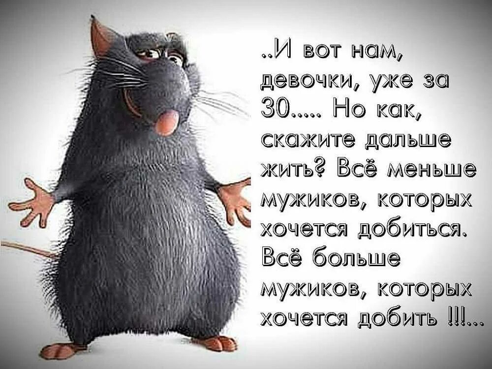 Как дальше жить в россии простому. Веселые статусы в картинках. Веселые статусы. Стихи о жизни прикольные. Юмористические высказывания в картинках.