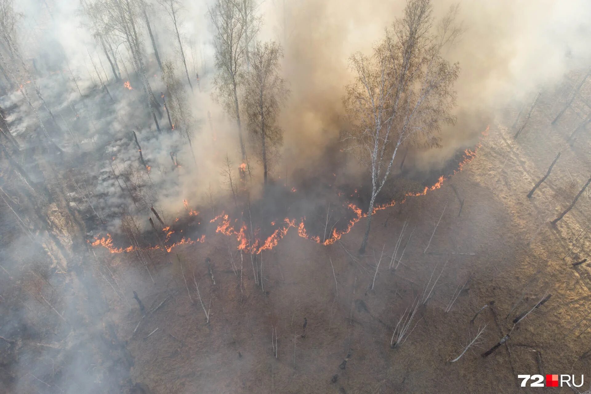 Лесные пожары в алтайском крае 2010. Лесные пожары. Пожар в городе. Мармарис пожар. Лесные пожары в рязани 2022.