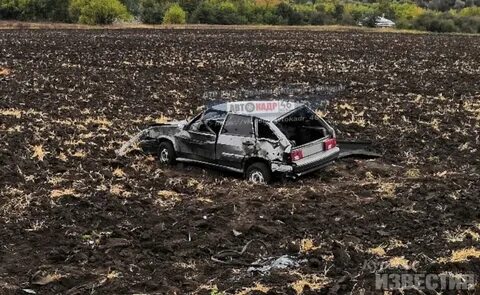 Автобус курск медвенка сегодня