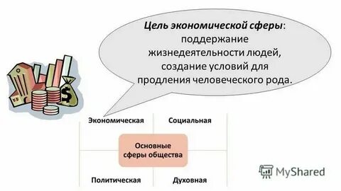 Магазин к какой сфере относится