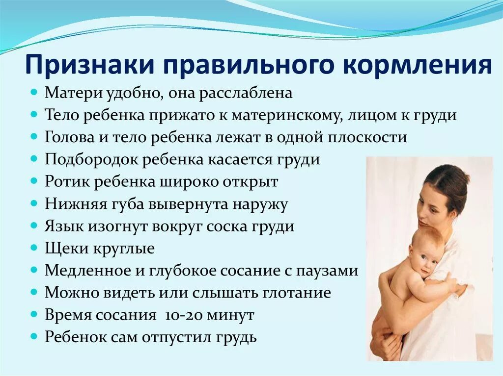 Как правильно класть новорожденного. Правильная поза для сна новорожденного. Как правильно держать младенца на руках. Массаж новорожденному. Как правильно новорожденного ребенка.