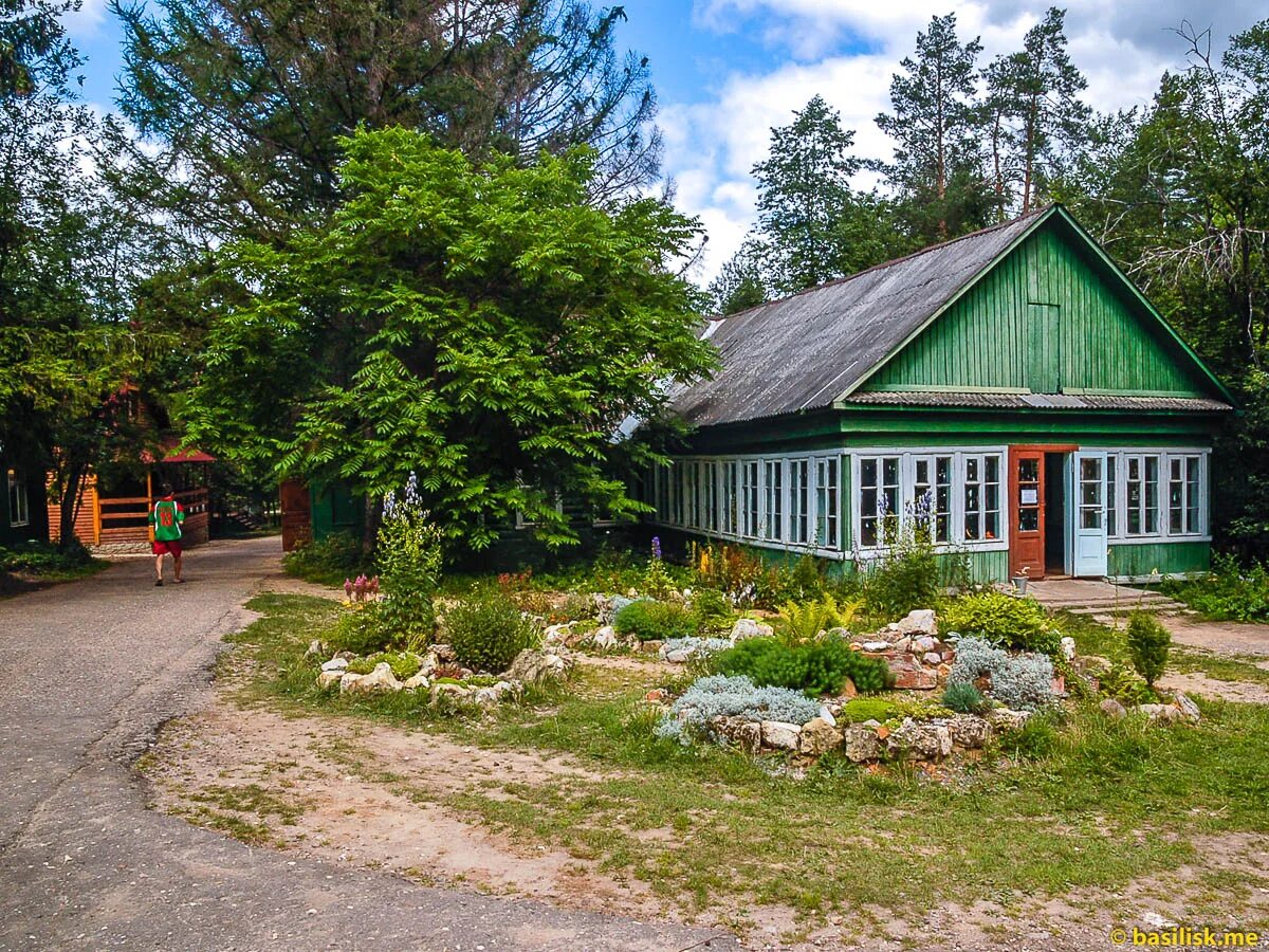 Биологический загородный. Звенигородская биостанция МГУ. Биологическая станция МГУ Звенигород. Биологическая база МГУ Звенигород. Биостанция Звенигород.