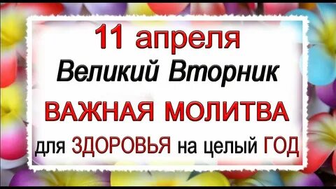 11 вторник