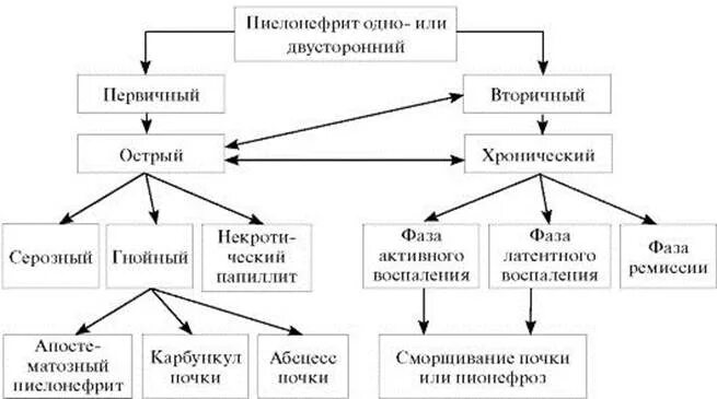 Патогенез хронического пиелонефрита схема. Классификация Лопаткина пиелонефрита. Клинические формы острого пиелонефрита. Классификация пиелонефрита Лопаткин. Периоды пиелонефрита