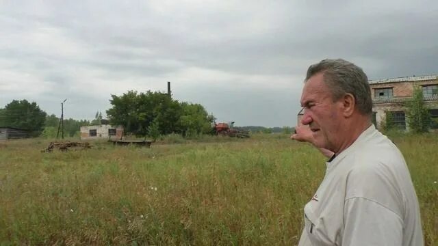 Погода в село родино алтайского края. Родино Алтайский край. ГОСПЛЕМЗАВОД Родинский Алтайский край. Алтайский край Родино ООО Орбита.