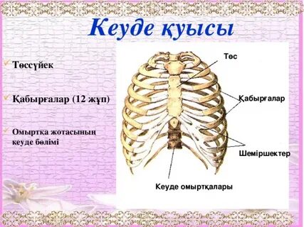 Студенттік порноның бастамасы