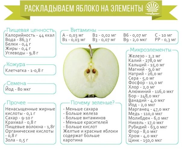 Из чего состоит яблоко