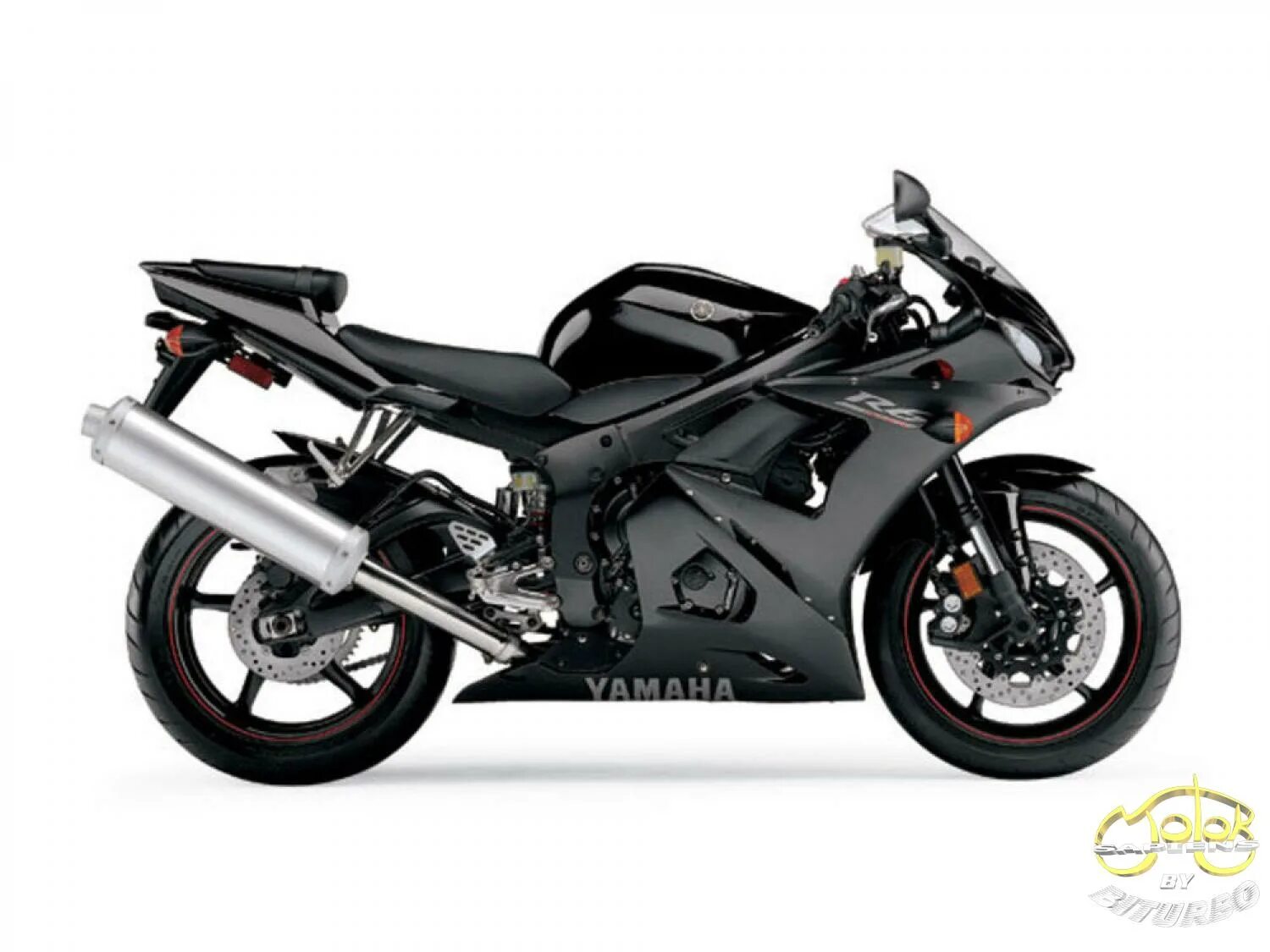 R6 x
