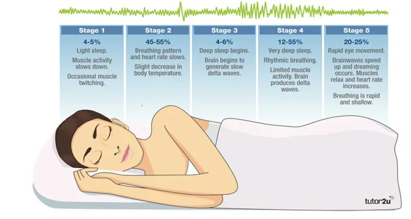 Sleep формы. Stages of Sleep. Deep Sleep [leamgames] глубокий сон. Deep Sleep 2 обзор.