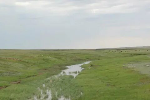 Арзгирская балка