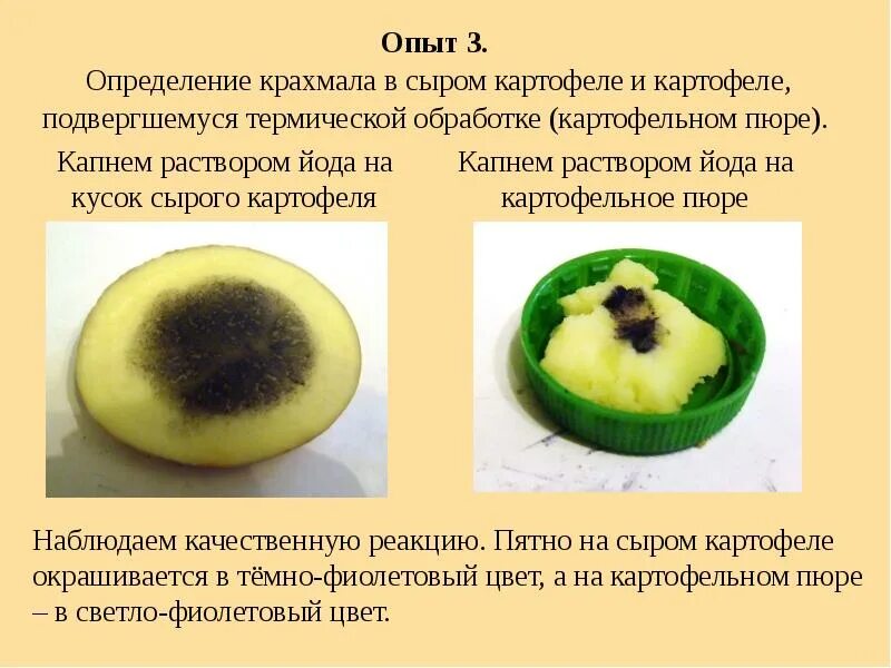 Картофель в жизни человека