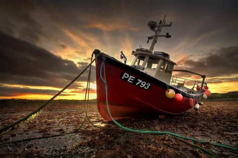 Fish boat