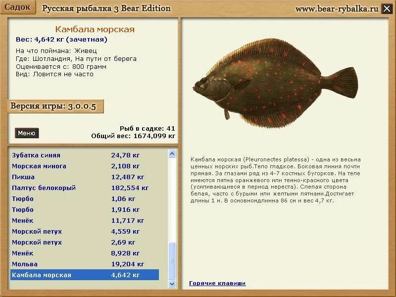 на какой глубине камбала. отряд камбалообразные. виды камбалы. камбала глубина обитания. перечислите семейства промысловых рыб.