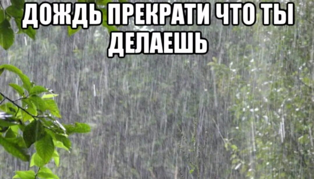 Когда дождь кончился мы отправились. Дождь прекратился. Мем дождь ливень. Дождь кончился. Дождик Мем.