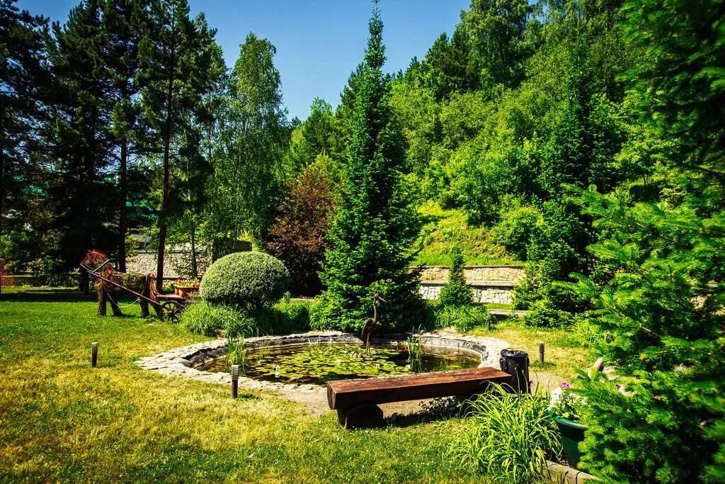 белокуриха санатории ржд. белокуриха санатории ржд. санаторий транссиб белокуриха. белокуриха санатории ржд. санаторий транссиб белокуриха.