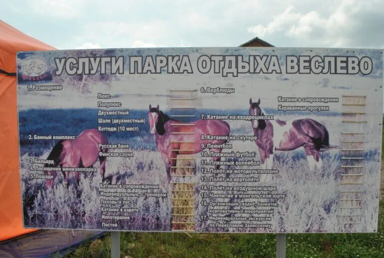 Переславль залесский выставка собак. Веслево парк отдыха переславль.