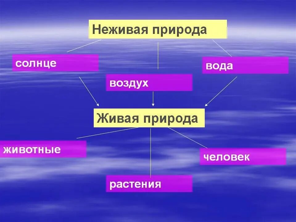 Связь между живой и неживой природой. Связь между живой и неживой природой. Сачзи живой и не живой природы. Взаимосвязь между живой и неживой природой. Взаимосвязь между живой и неживой природой.
