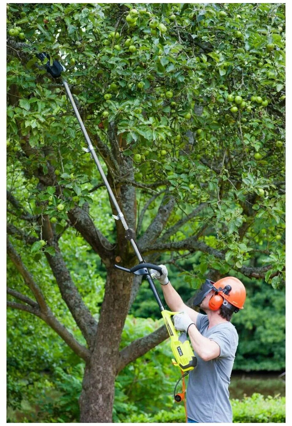 Высоторез деревьев. Насадка-высоторез expand-it ryobi rxpr01 5132002797. бензиновый высоторез champion. насадка на высоторез райоби. сучкорез риоби.