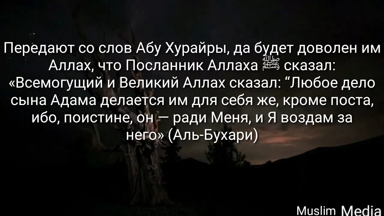 Передает что посланник аллаха сказал. Очень грустные нашиды. Самый грустный нашид. Пост ради меня и я воздам за него. Рахман я Рахман нашид.