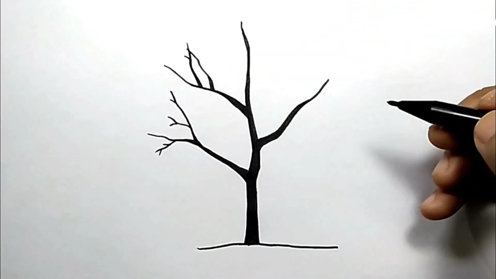 Дерево легкие города. Дерево карандашом. Дерево для рисования. Карандаш дерево маленький. Легкие дерево.