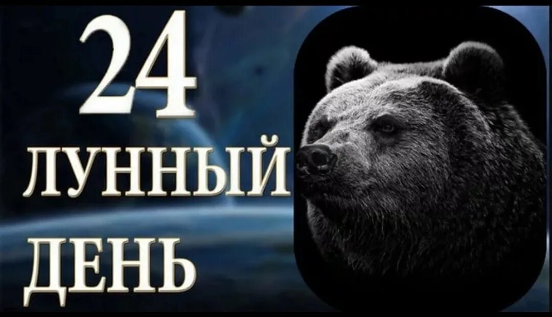 24 Лунный день. 24 Лунный день характеристика. 24 Лунные сутки медведь. Символ 24 лунных суток. 22.03 2024 лунный день