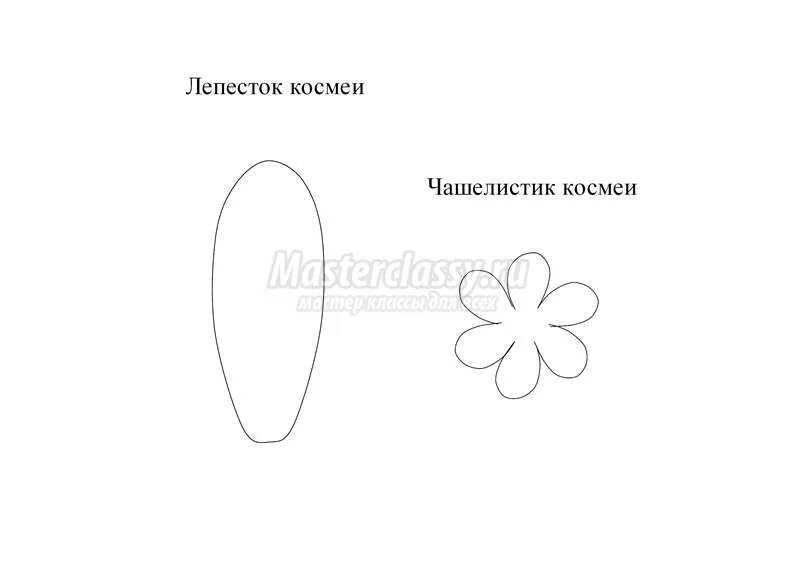 Сделать лепестки ромашки. Лепесток ромашки из фоамирана. Лекало для лепестков ромашки. Трафарет ромашки для фоамирана. Лепесток ромашки трафарет.