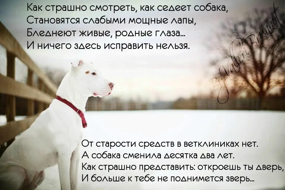 Стихотворение стань слабее