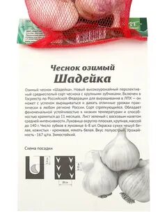 Чеснок шадейка описание