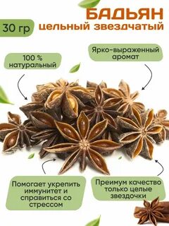 Бадьян звездчатый полезные свойства
