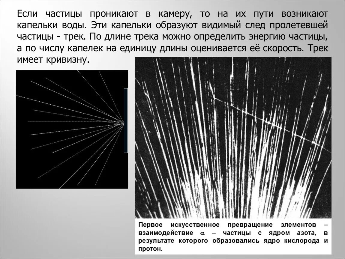 Треки частиц. Трек частицы в камере. Траектория частицы в камере Вильсона. Следы элементарных частиц.