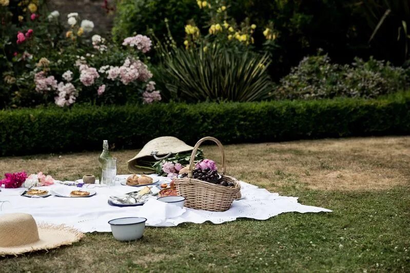 You are having a picnic